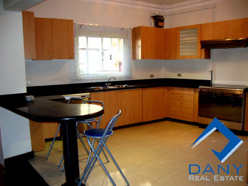 Residential Apartment For Rent Furnished in Maadi Digla Great Cairo Egypt